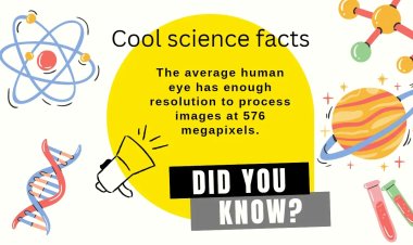 Funny Science Facts for Kids