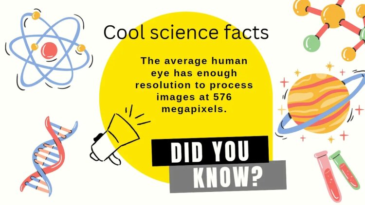 Funny Science Facts for Kids