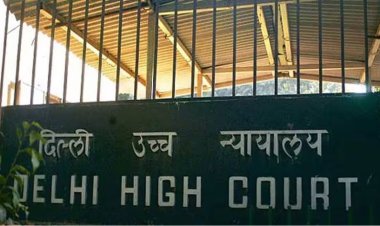 Rainwater harvesting be ‘seamlessly integrated’ into Delhi’s ‘climate resilience planning’: HC