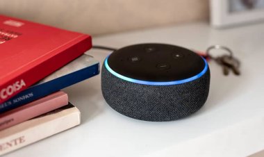 Can Alexa Work Without WiFi?
