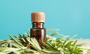 Top 5 Research-Backed Benefits of Rosemary for Hair