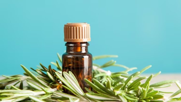 Top 5 Research-Backed Benefits of Rosemary for Hair