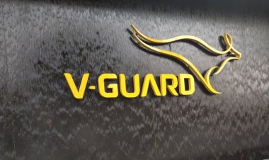 Best V-Guard Appliances For Home: Stabilizer, Inverter, Geyser, And More