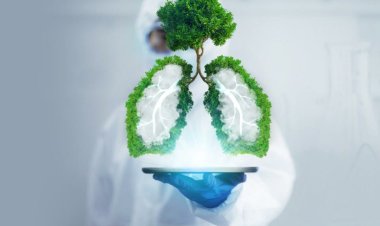 Surprising Diet Tips That Will Protect Your Lungs From Pollution