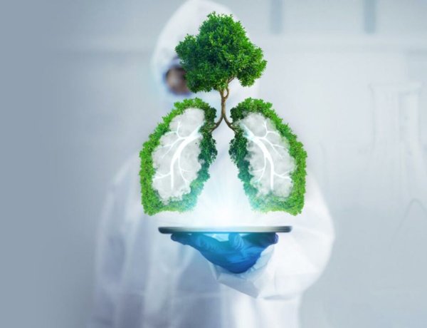 Surprising Diet Tips That Will Protect Your Lungs From Pollution